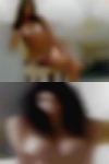 Local horny wives Sarasota